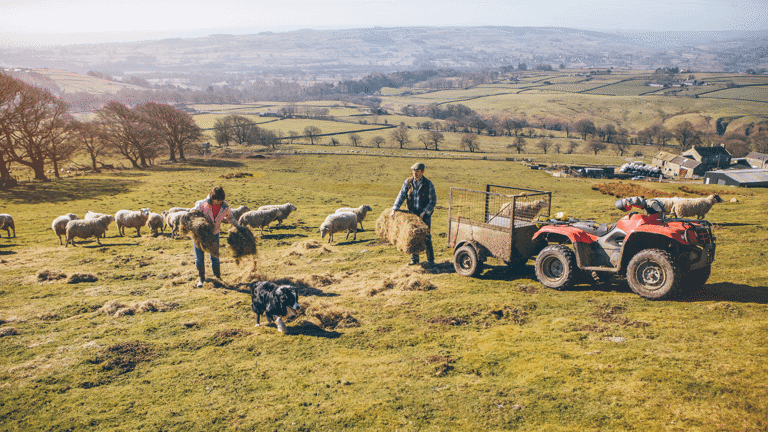 Agricultural Wages (1)
