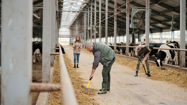 How Long Should A Farm Business Tenancy Be