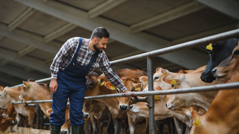Agricultural Wages Order 2023 Everything You Need To Know