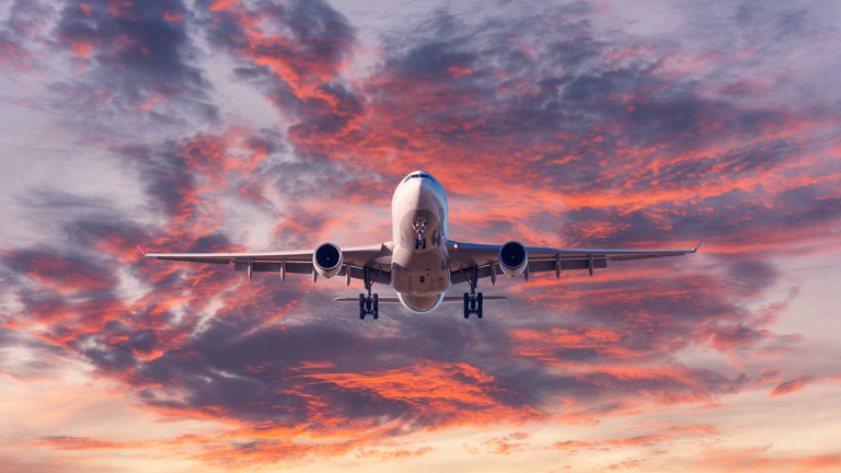 What Is The Difference Between Employment Law And Immigration Law