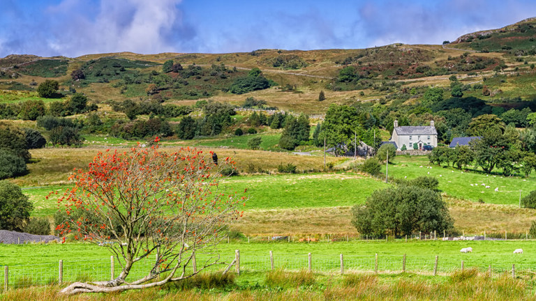 Gwynedd’S Article 4 Direction Comes To The End Of The Road