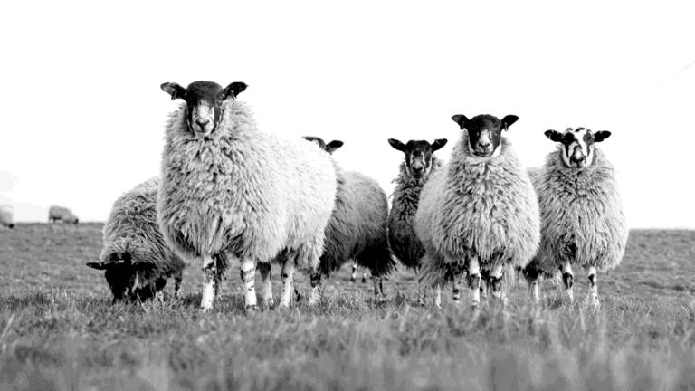Agricultural