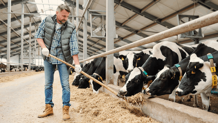 Farm Business Tenancy