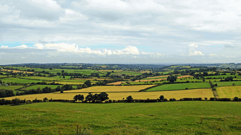 Professional Negligence Claims Against Property Valuers