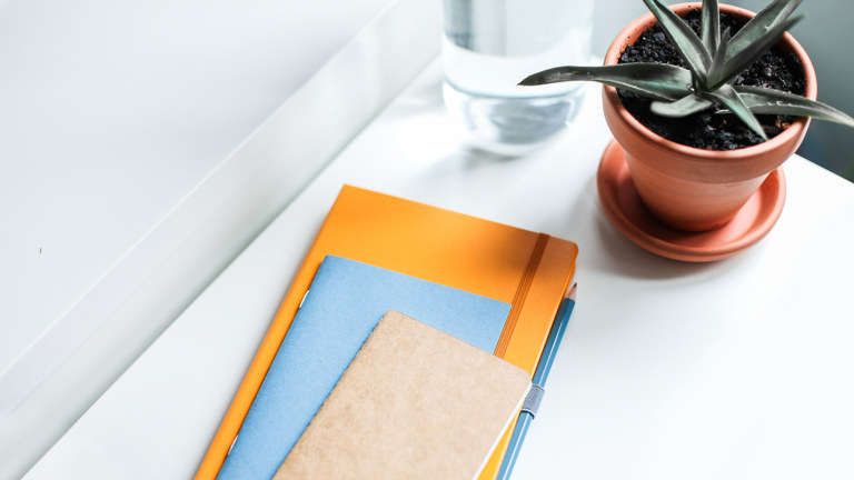 A Guide To Litigants In Person In Employment Tribunals