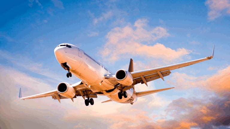 Difference Between Employment And Immigration