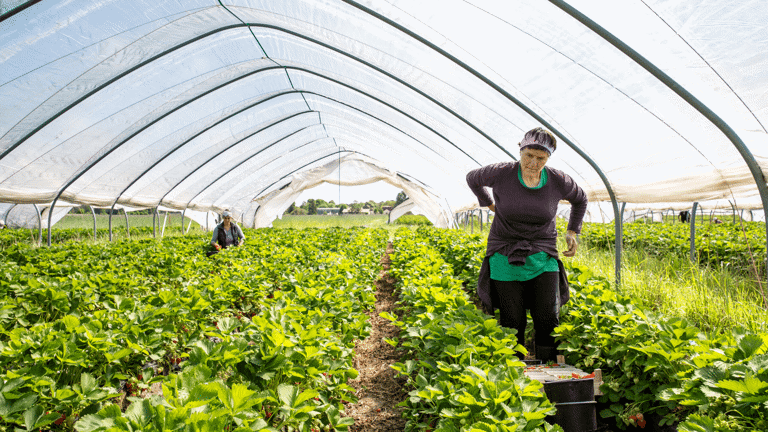 What The Decision On Holiday Pay For Part Year Workers Means For Employers