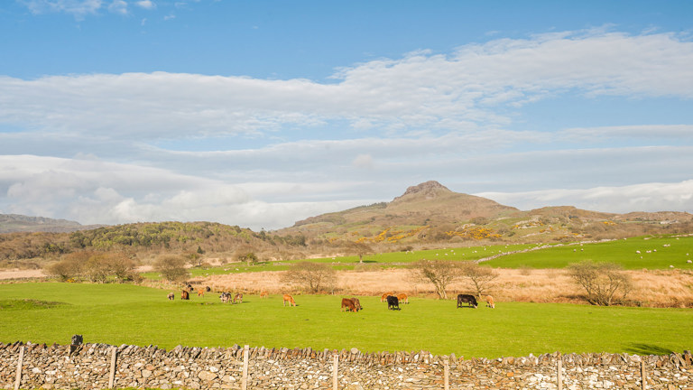 Protecting Your Farmland In Your Will What You Need To Know