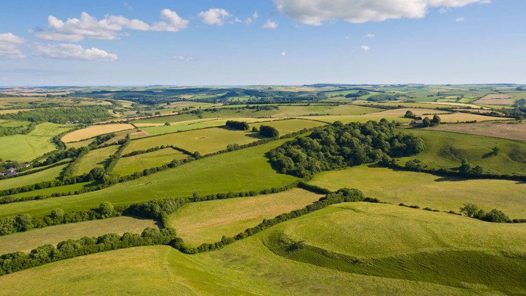 Bratt V Jones [2025] Clarifies Professional Negligence Claims Against Property Valuers