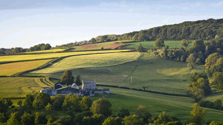 Protect Your Farmland In Your Will