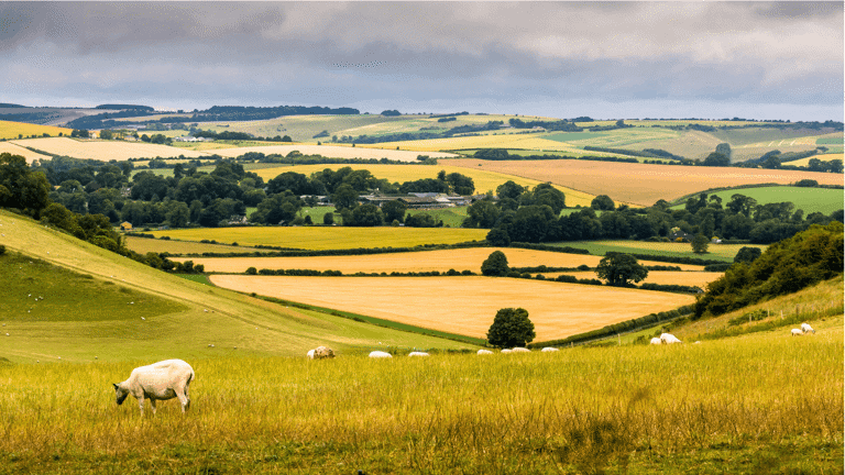 Do You Pay Stamp Duty Land Tax On Agricultural Land