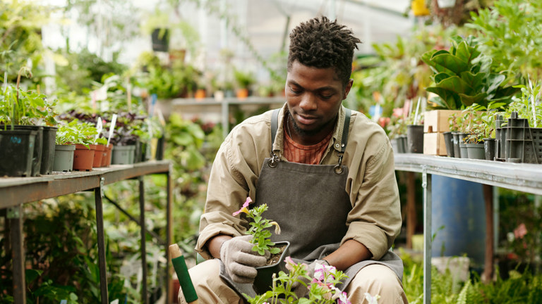 Holiday Pay Decision Implications For Employers